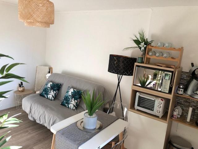 Studio Cosy Carnon-Plage - Clim Et Wifi Proche Montpellier Apartment Mauguio Luaran gambar