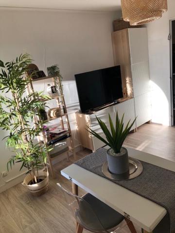 Studio Cosy Carnon-Plage - Clim Et Wifi Proche Montpellier Apartment Mauguio Luaran gambar